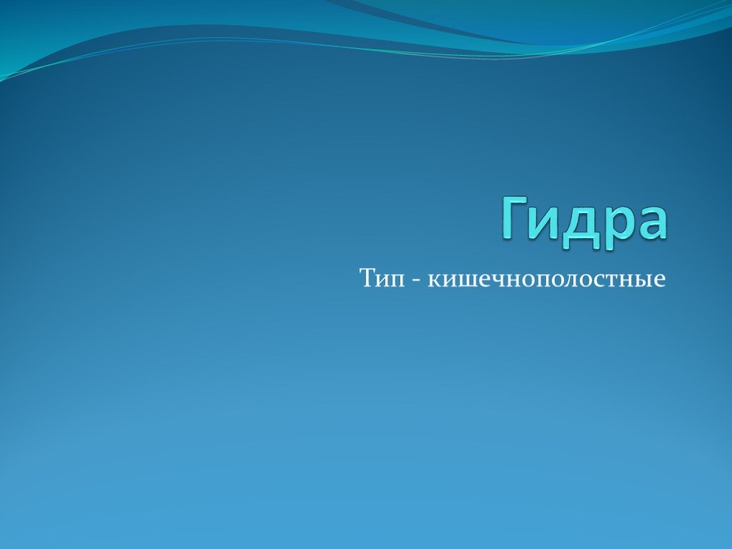 Ссылка кракен сайт зеркало
