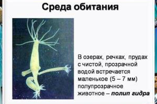 Кракен сайт kr2web