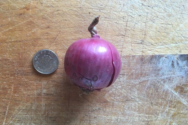 Krab9.cc: полный обзор